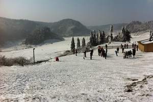 重庆到仙女山滑雪_仙女山滑雪报价_仙女山滑雪一日游